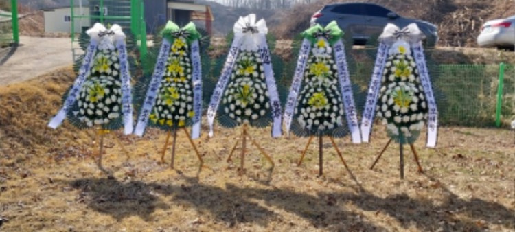 KakaoTalk_20230322_072004823.jpg