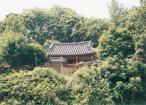 1982.jpg